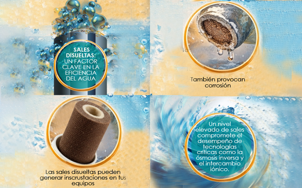 SALES DISUELTAS: UN FACTOR CLAVE EN LA EFICIENCIA DEL AGUA